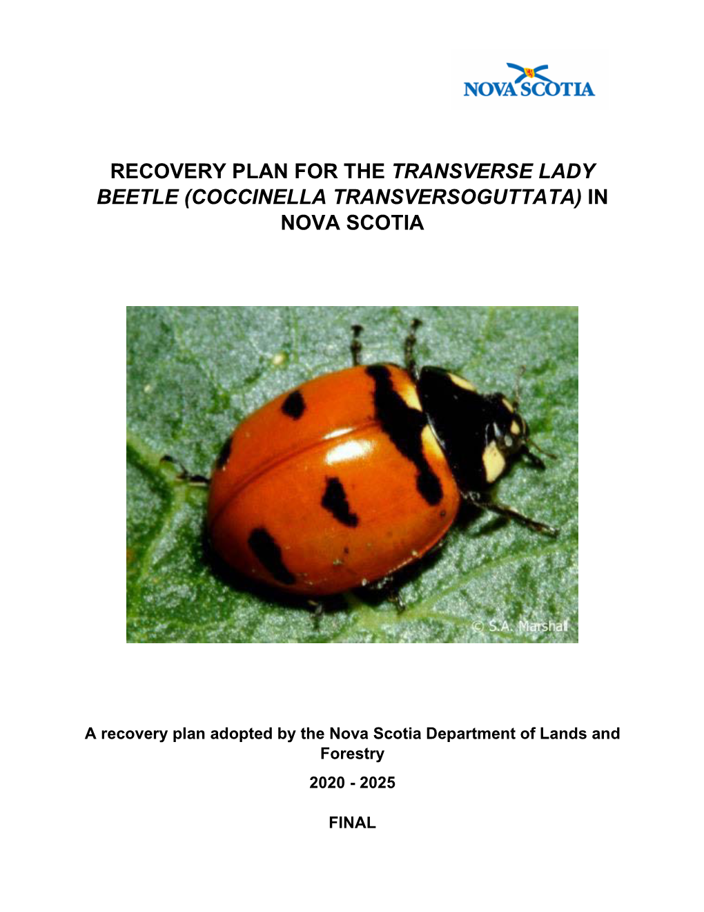 Recovery Plan for the Transverse Lady Beetle (Coccinella Transversoguttata) in Nova Scotia