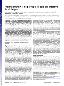 Proinflammatory T Helper Type 17 Cells Are Effective B-Cell Helpers