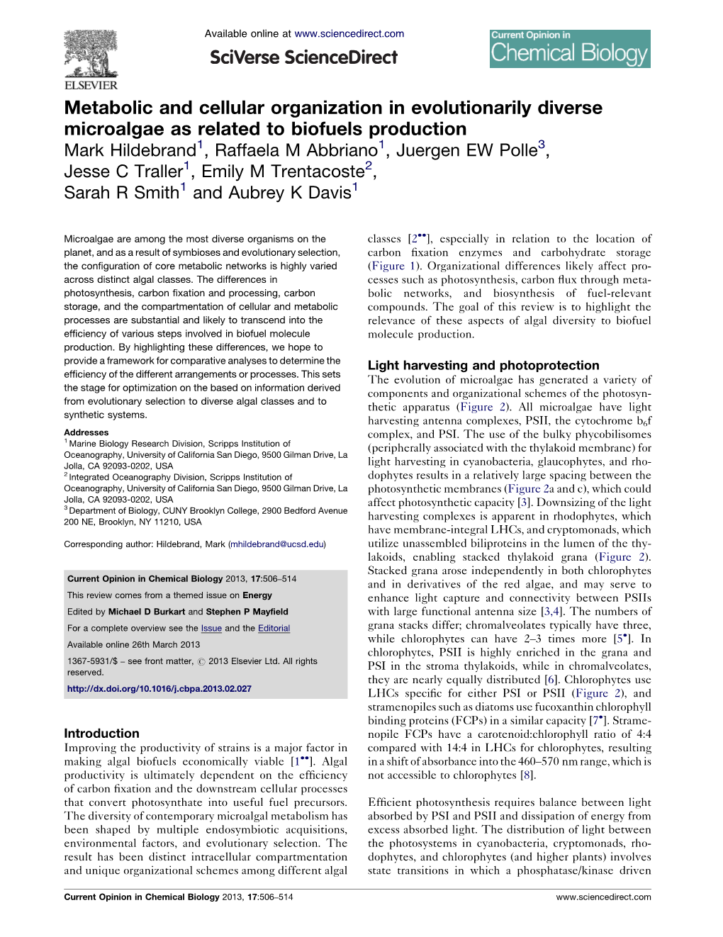 Metabolic and Cellular Organization in Evolutionarily Diverse Microalgae As Related to Biofuels Production Hildebrand Et Al