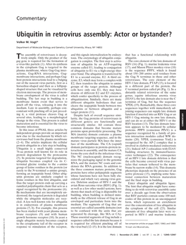 Ubiquitin in Retrovirus Assembly: Actor Or Bystander?