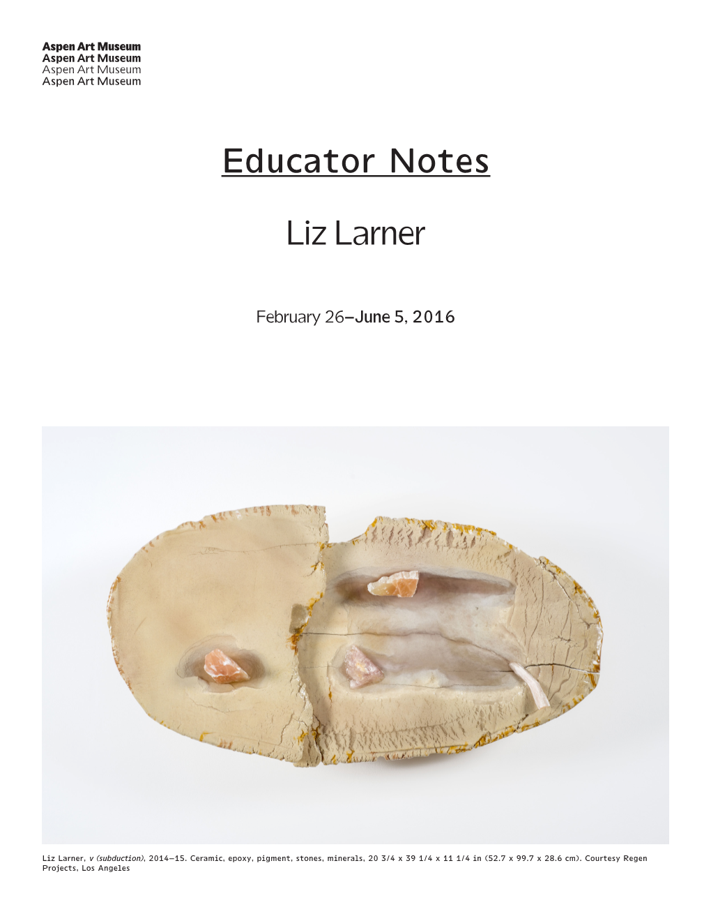 Educator Notes Liz Larner