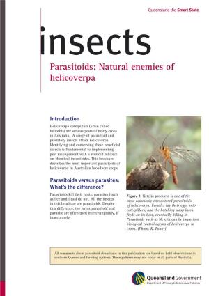 Insects Parasitoids: Natural Enemies of Helicoverpa