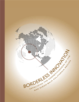 Borderless Innovation, Co-Authored by Kenn Morris, MBA; Nathan Owens, MA; and Mary L