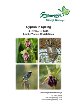 Cyprus in Spring Holiday Report 2019