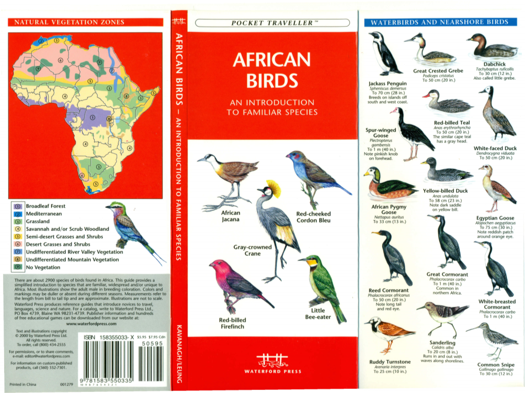 African Birds