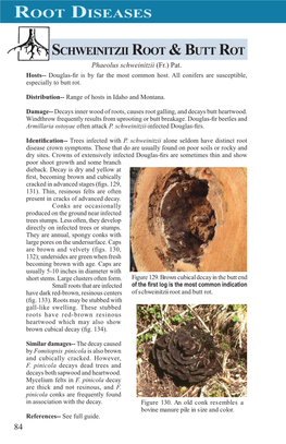 Root Diseases Schweinitzii Root & Butt