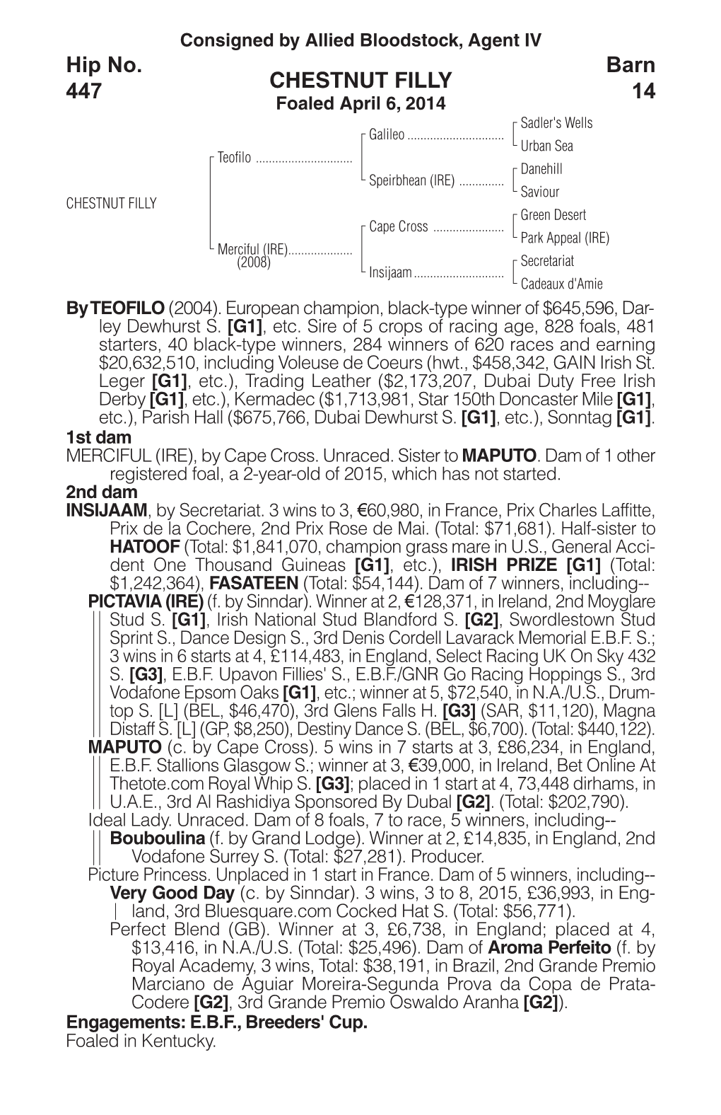 CHESTNUT FILLY Barn 14 Hip No