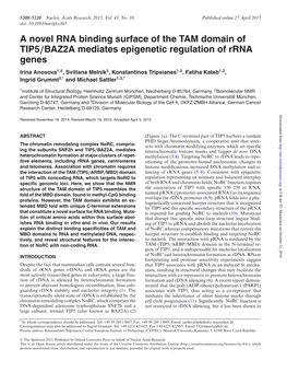 A Novel RNA Binding Surface of the TAM Domain of TIP5