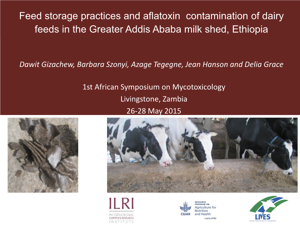 Feed Storage Practices and Aflatoxin Contamination of Dairy Feeds in the Greater Addis Ababa Milk Shed, Ethiopia