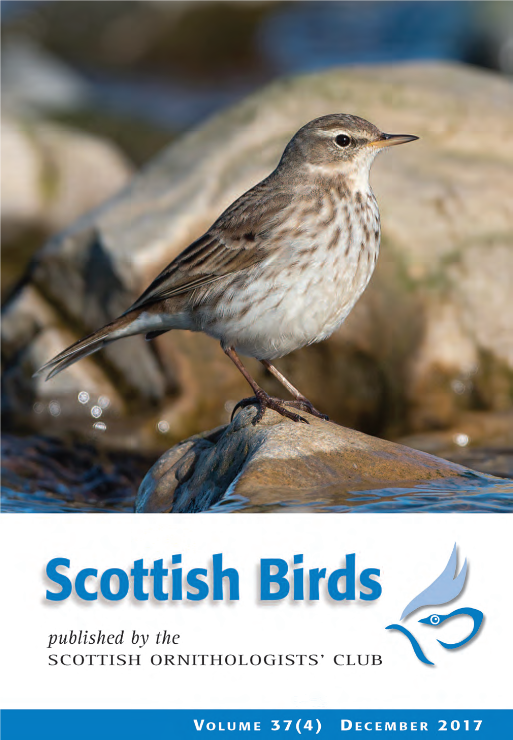 Scottish Birds 37:4 (2017)