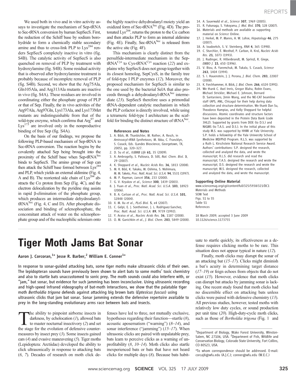 Tiger Moth Jams Bat Sonar Fense Requires Clicking Moths to Be Rare