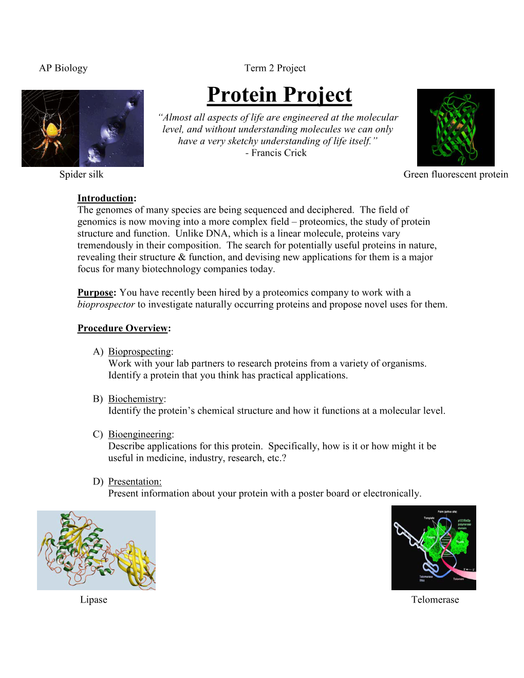 Protein Project.Pdf