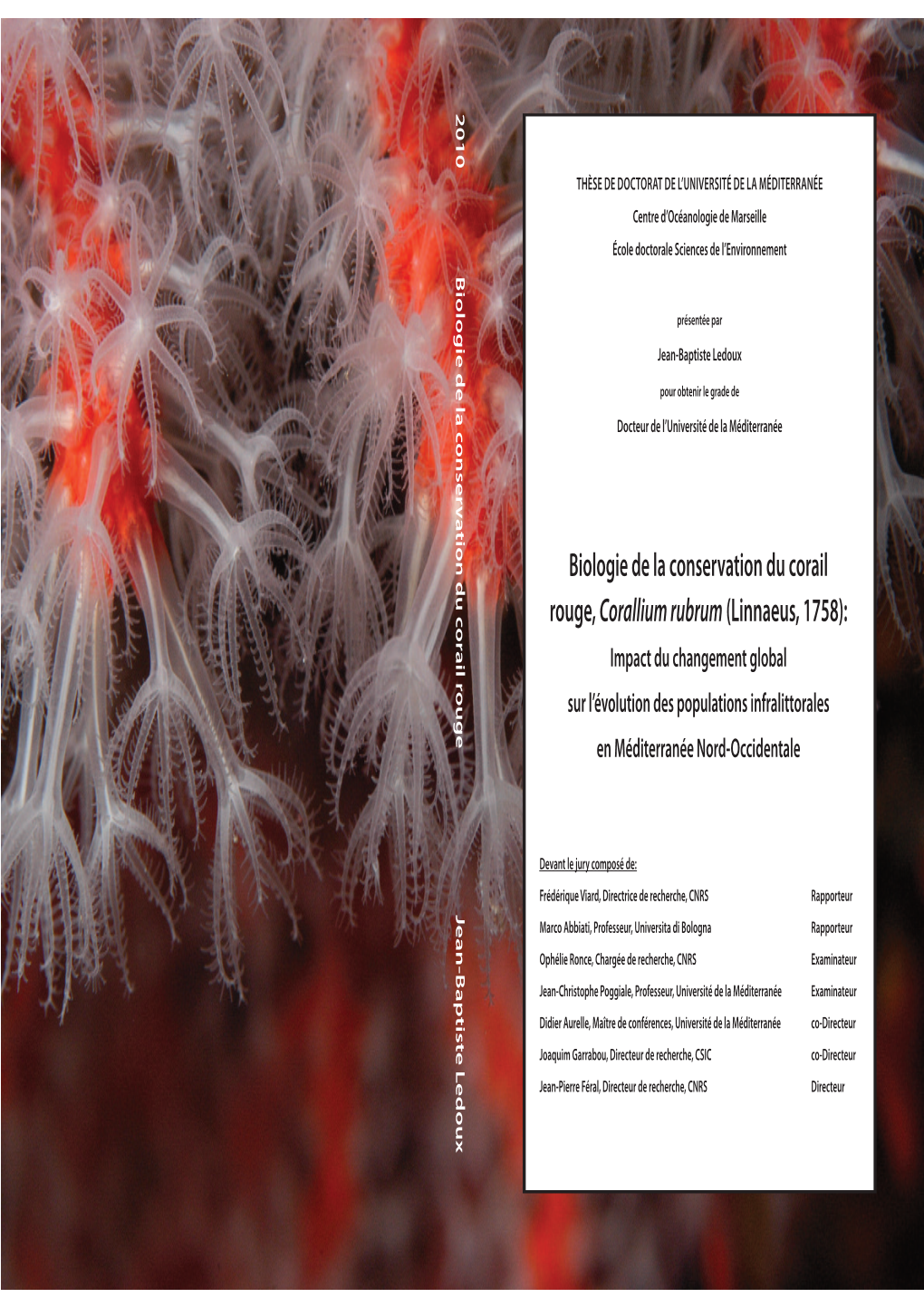 Biologie De La Conservation Du Corail Rouge, Corallium Rubrum (Linnaeus