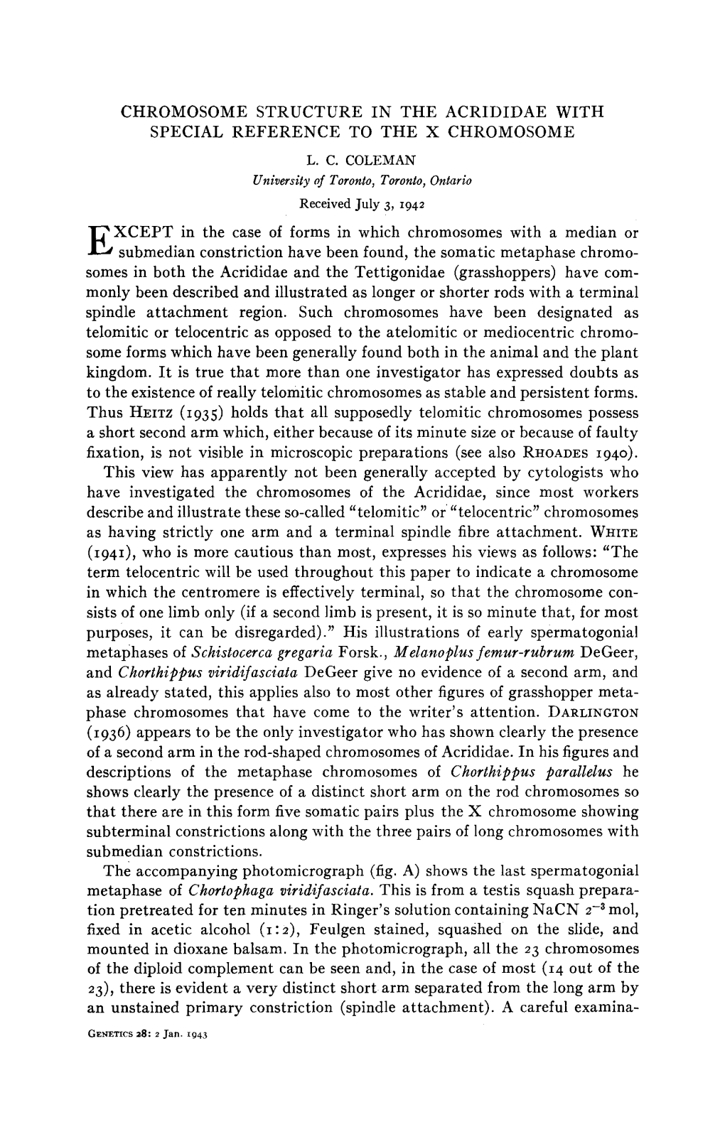 CHROMOSOME STRUCTURE in the ACRIDIDAE with SPECIAL REFERENCE to the X CHROMOSOME XCEPT in the Case of Forms in Which Chromosomes