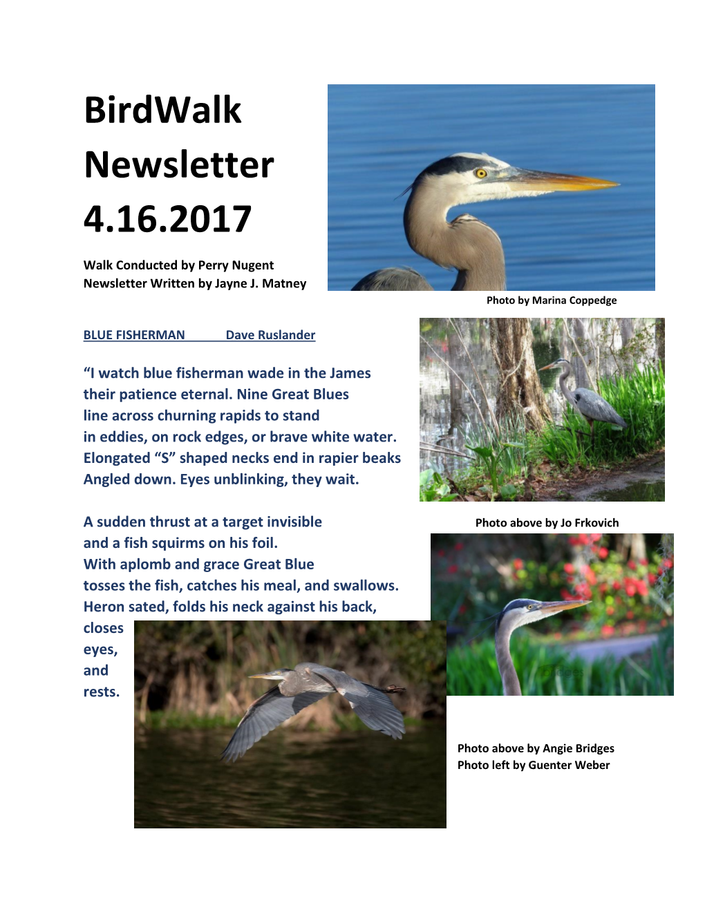 Birdwalk Newsletter 4.16.2017