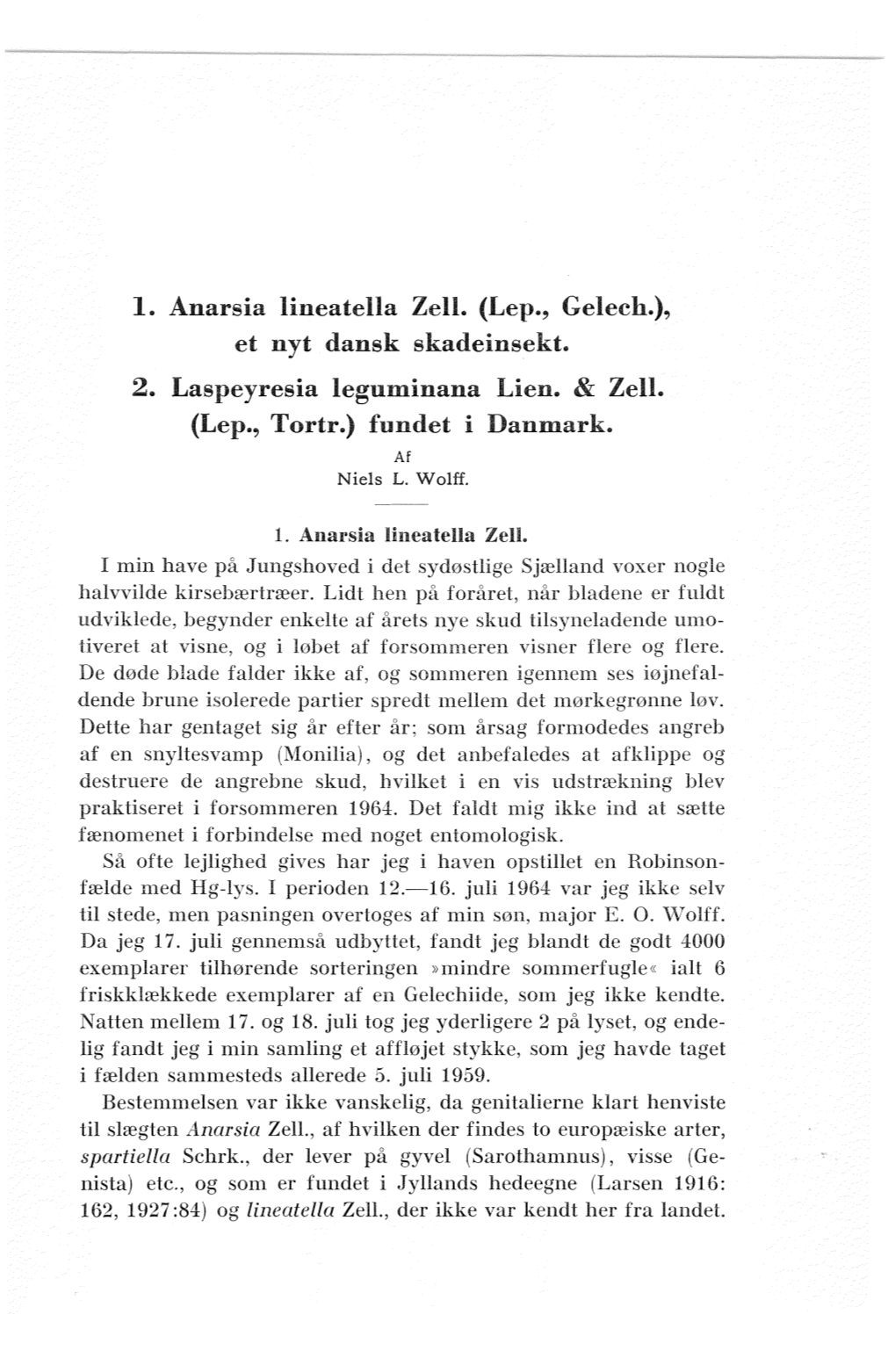 1. Anarsia Lineatella Zell. (Lep., Gelech.), Et Nyt Dansk Skadeinsekt