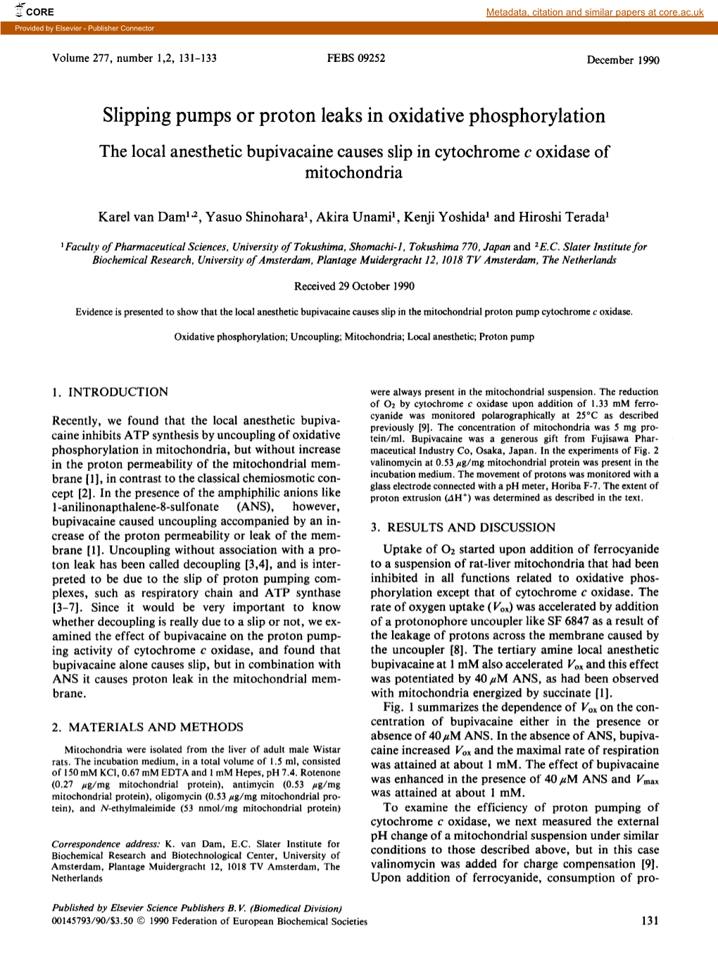 Slipping Pumps Or Proton Leaks in Oxidative Phosphorylation