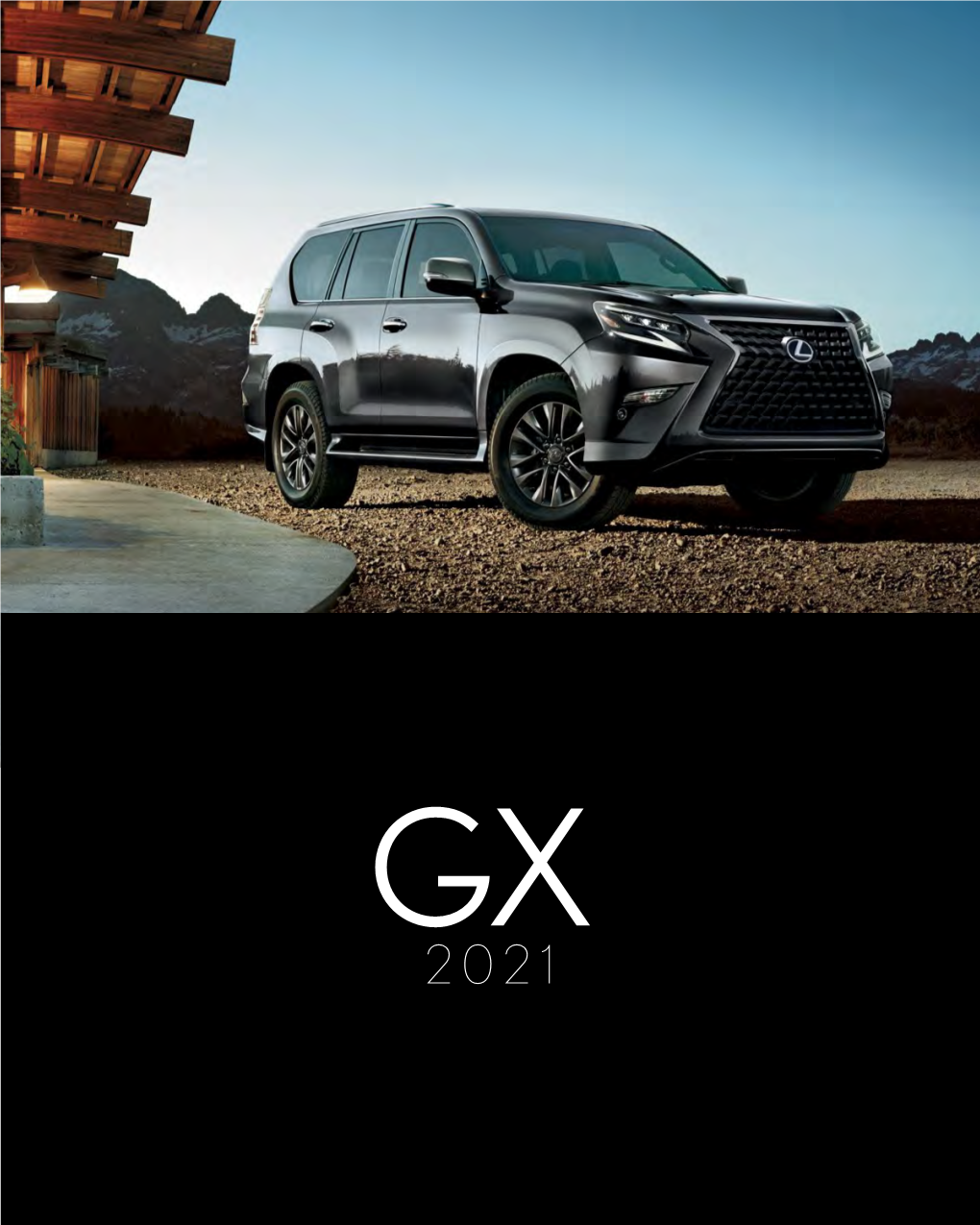Brochure for the 2021 GX