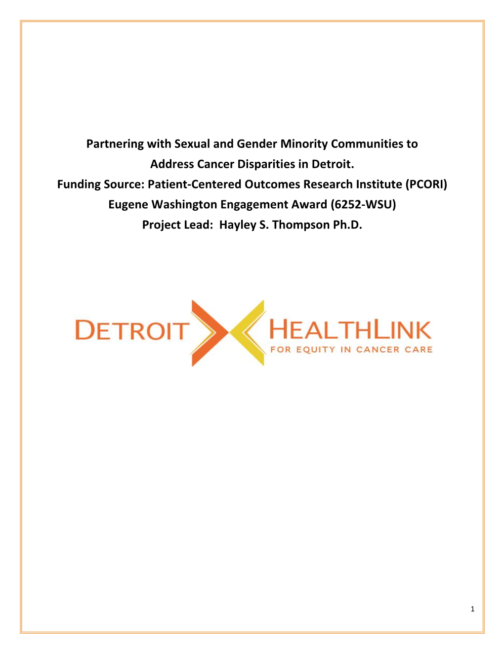 Detroit Health Link Report