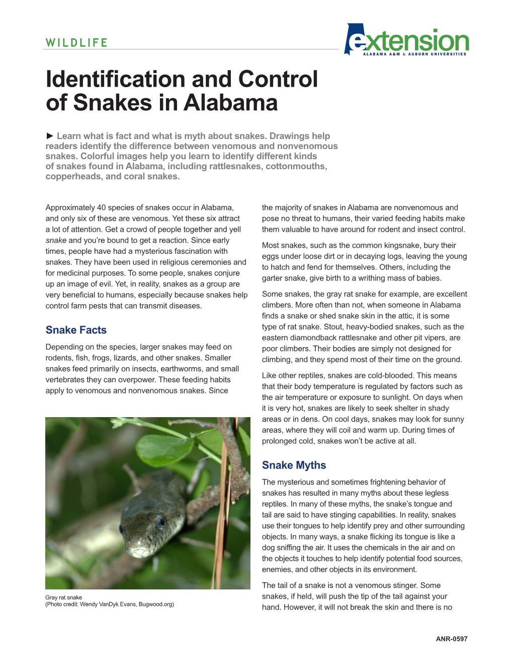 Identification and Control of Snakes in Alabama