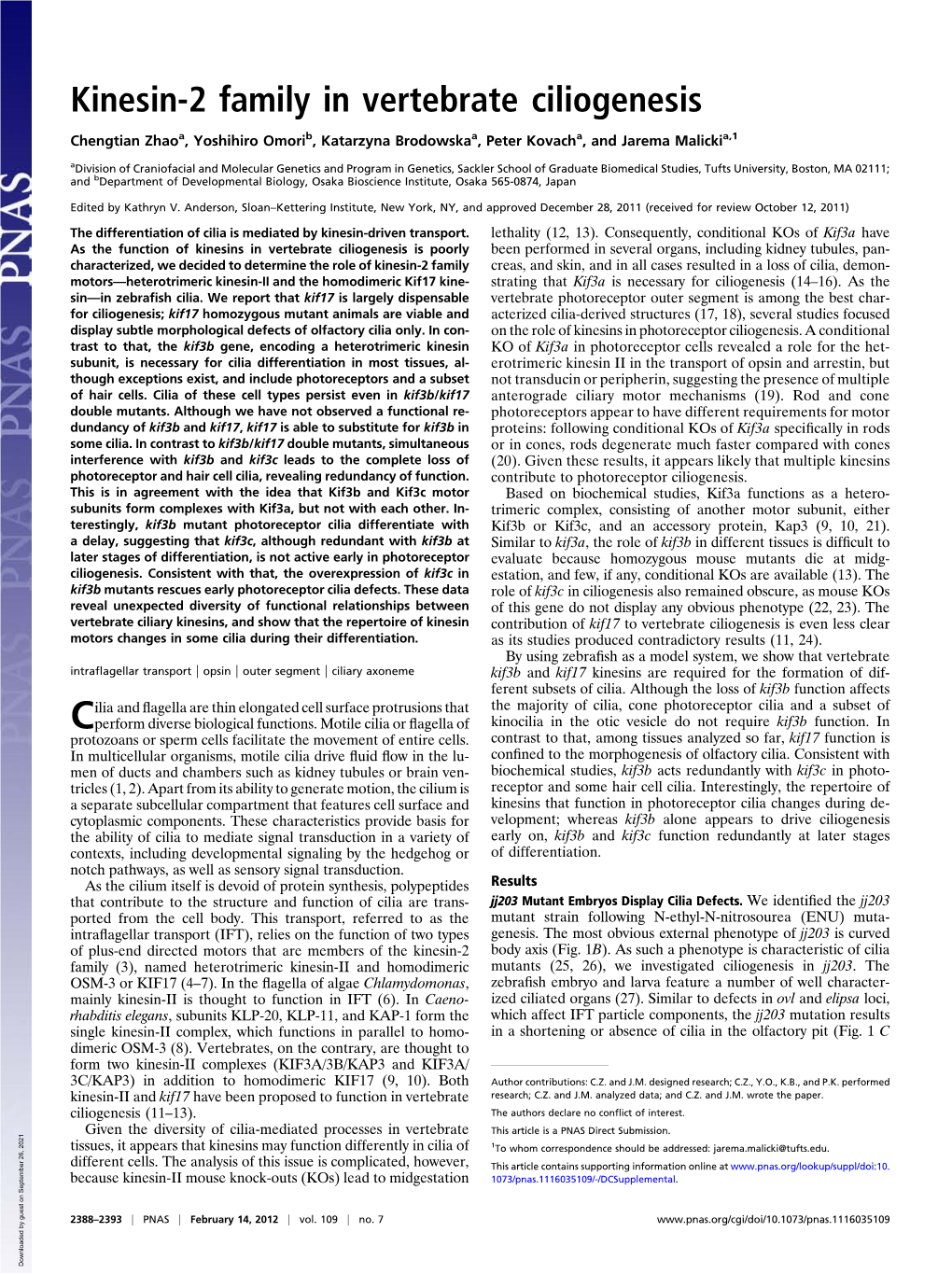 Kinesin-2 Family in Vertebrate Ciliogenesis