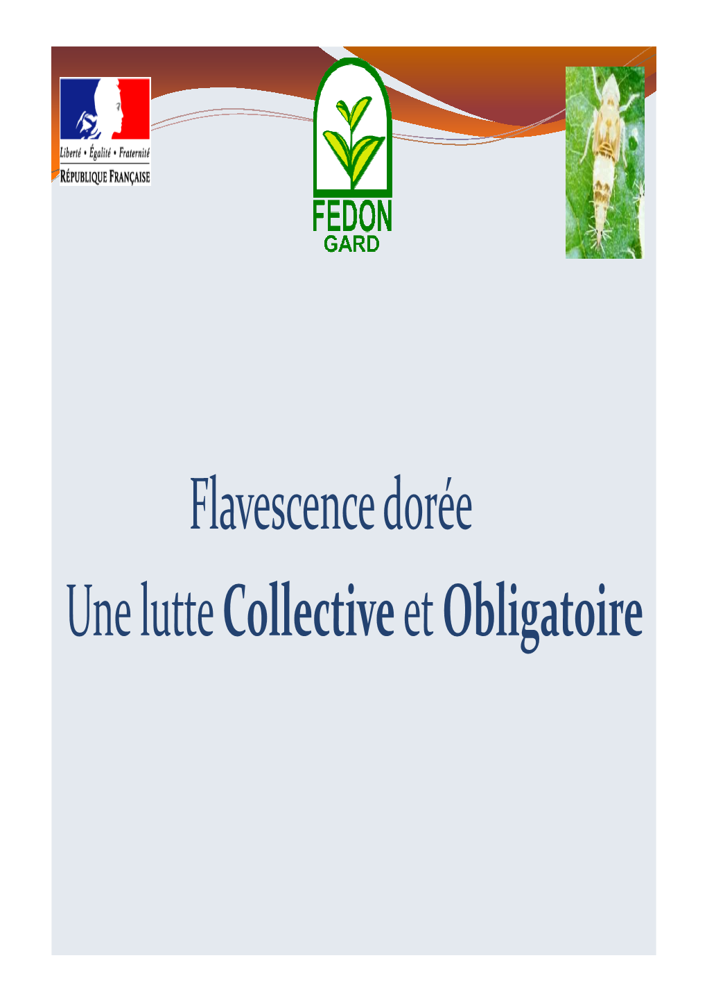 FEDON Colloque Flavescence Dorée 07122018