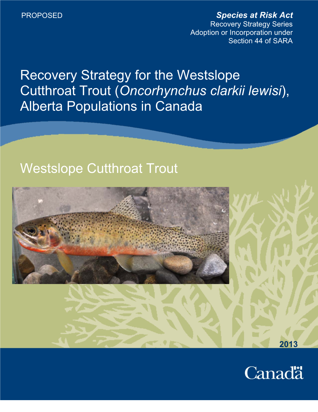 Recovery Strategy for the Westslope Cutthroat Trout (Oncorhynchus Clarkii Lewisi), Alberta Populations in Canada