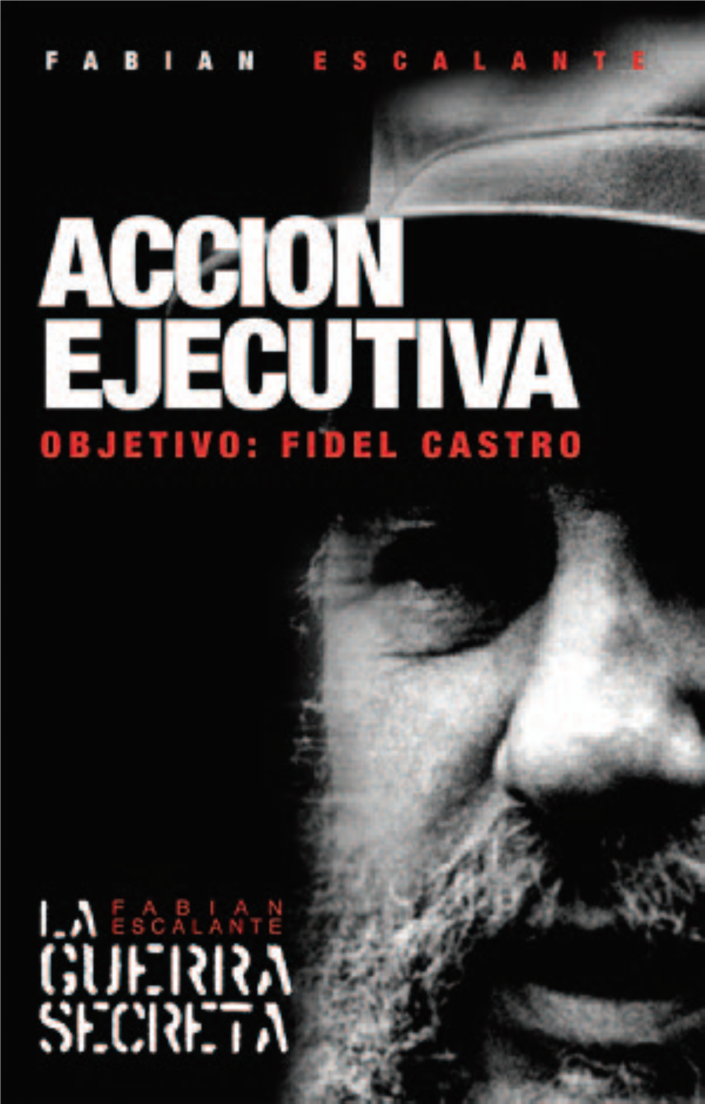 Accion-Ejecutiva.Pdf