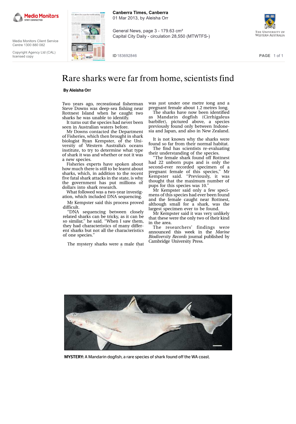 Rare Sharks Were Far from Home, Scientists Find