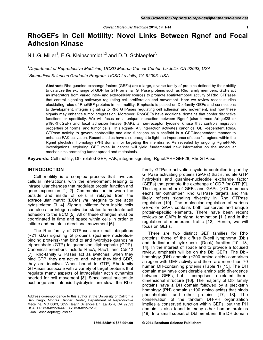 Rhogefs in Cell Motility: Novel Links Between Rgnef and Focal Adhesion Kinase