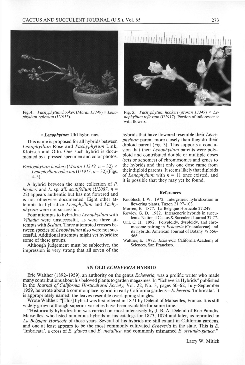 Eric Walther (1892-1959), an Authority on the Genus Echeveria, Was a Prolific Writer Who Made Many Contributions About His Beloved Plants to Garden Magazines