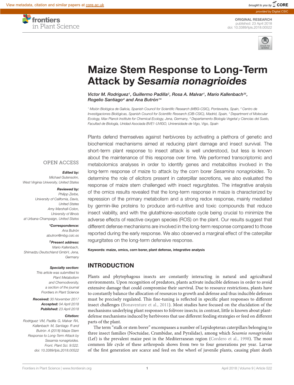 Maize Stem Response to Long-Term Attack by Sesamia Nonagrioides