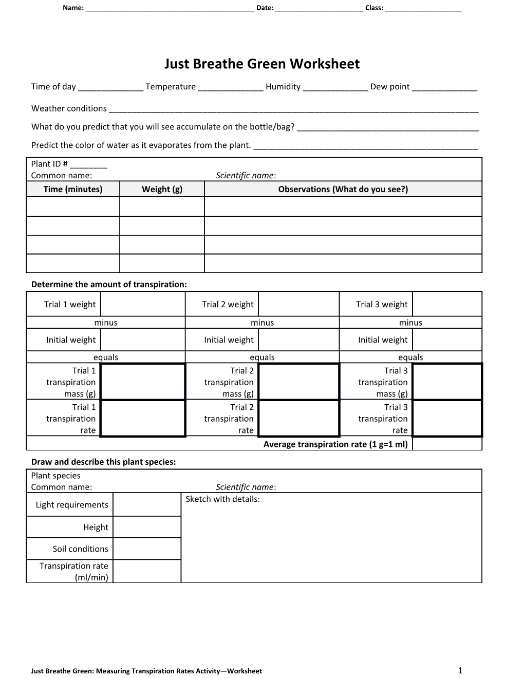 Just Breathe Green Worksheet