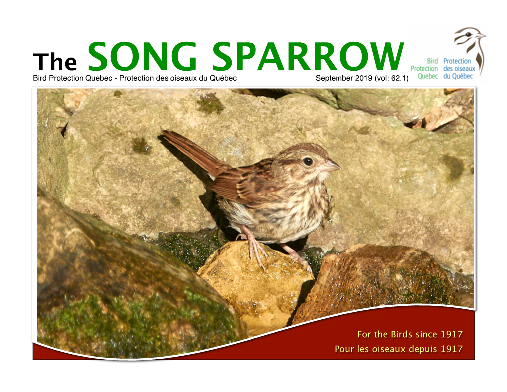 The SONG SPARROW Bird Protection Quebec - Protection Des Oiseaux Du Québec September 2019 (Vol: 62.1)