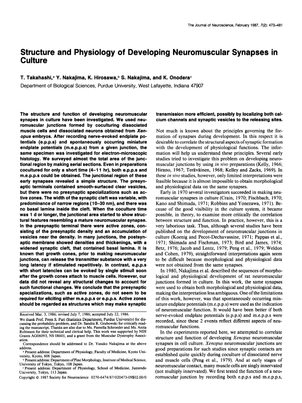 Structure and Physiology of Developing Neuromuscular Synapses in Culture