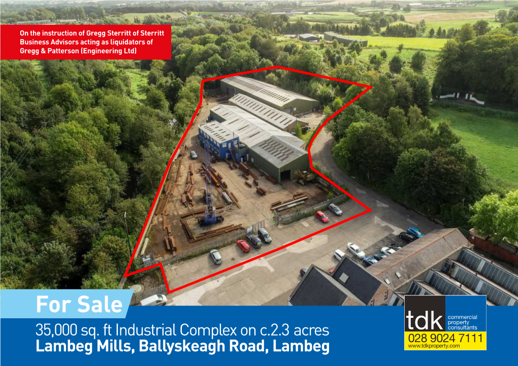 Lambeg Mills, Ballyskeagh Road, Lambeg for Sale