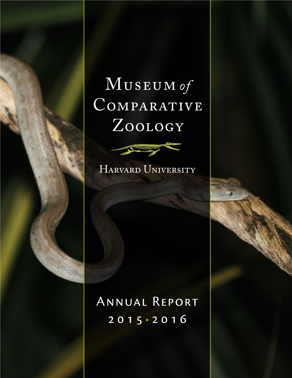 Museum of Comparative Zoology