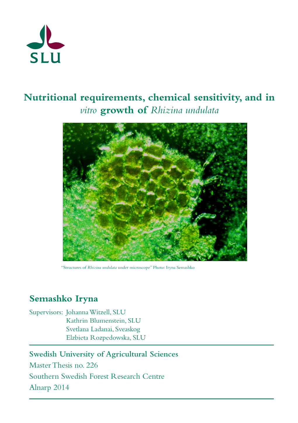 Nutritional Requirements, Chemical Sensitivity, and in Vitro Growth of Rhizina Undulata