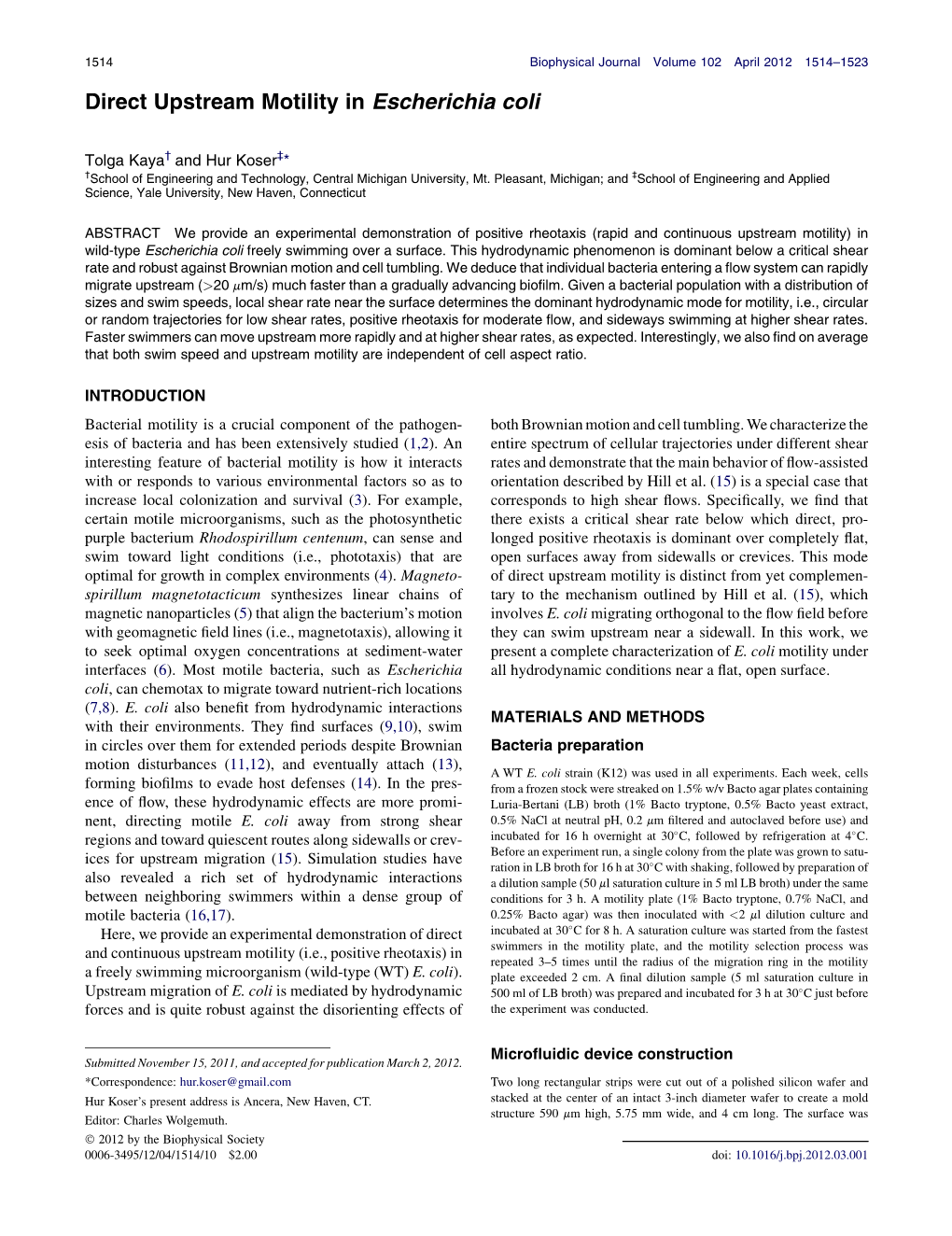 Direct Upstream Motility in Escherichia Coli