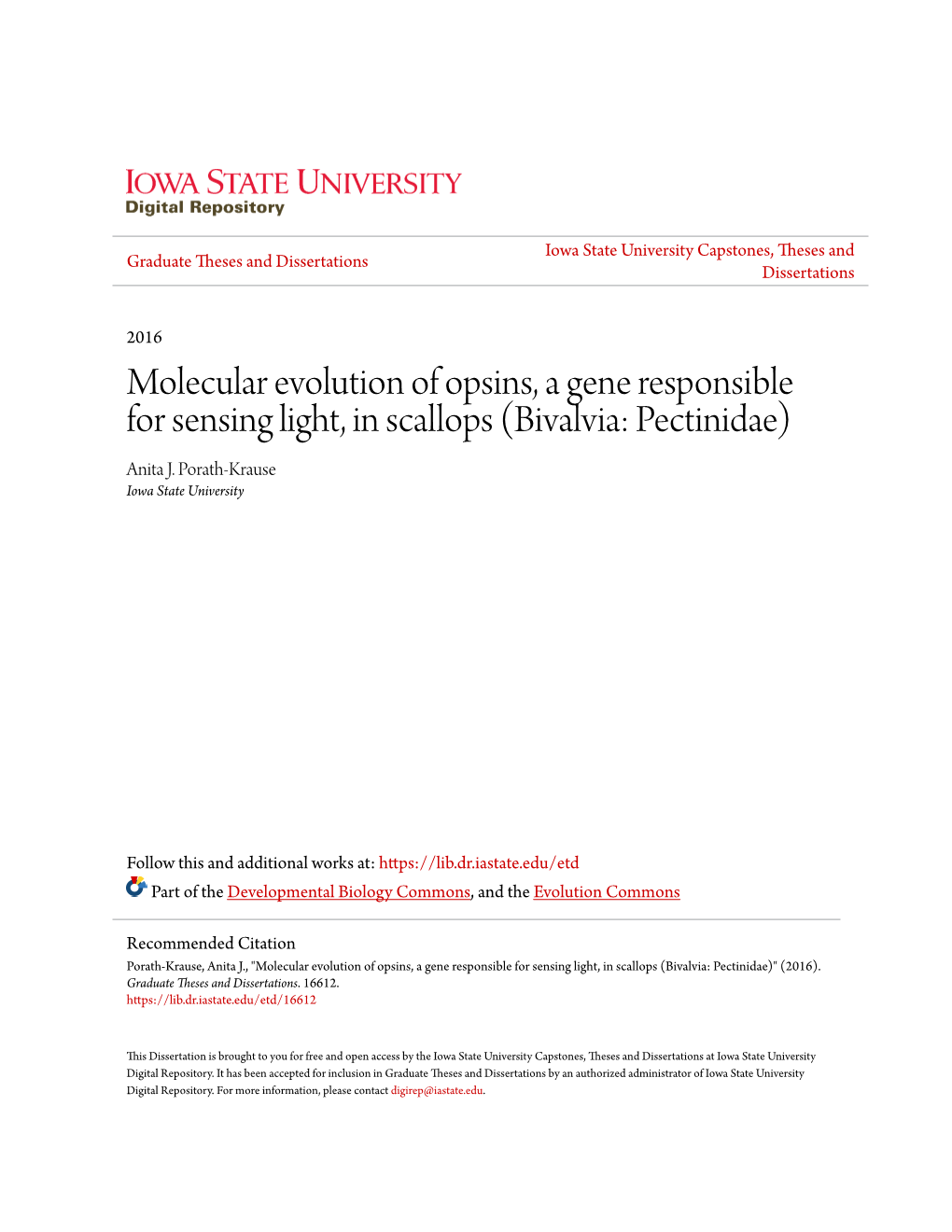 Molecular Evolution of Opsins, a Gene Responsible for Sensing Light, in Scallops (Bivalvia: Pectinidae) Anita J