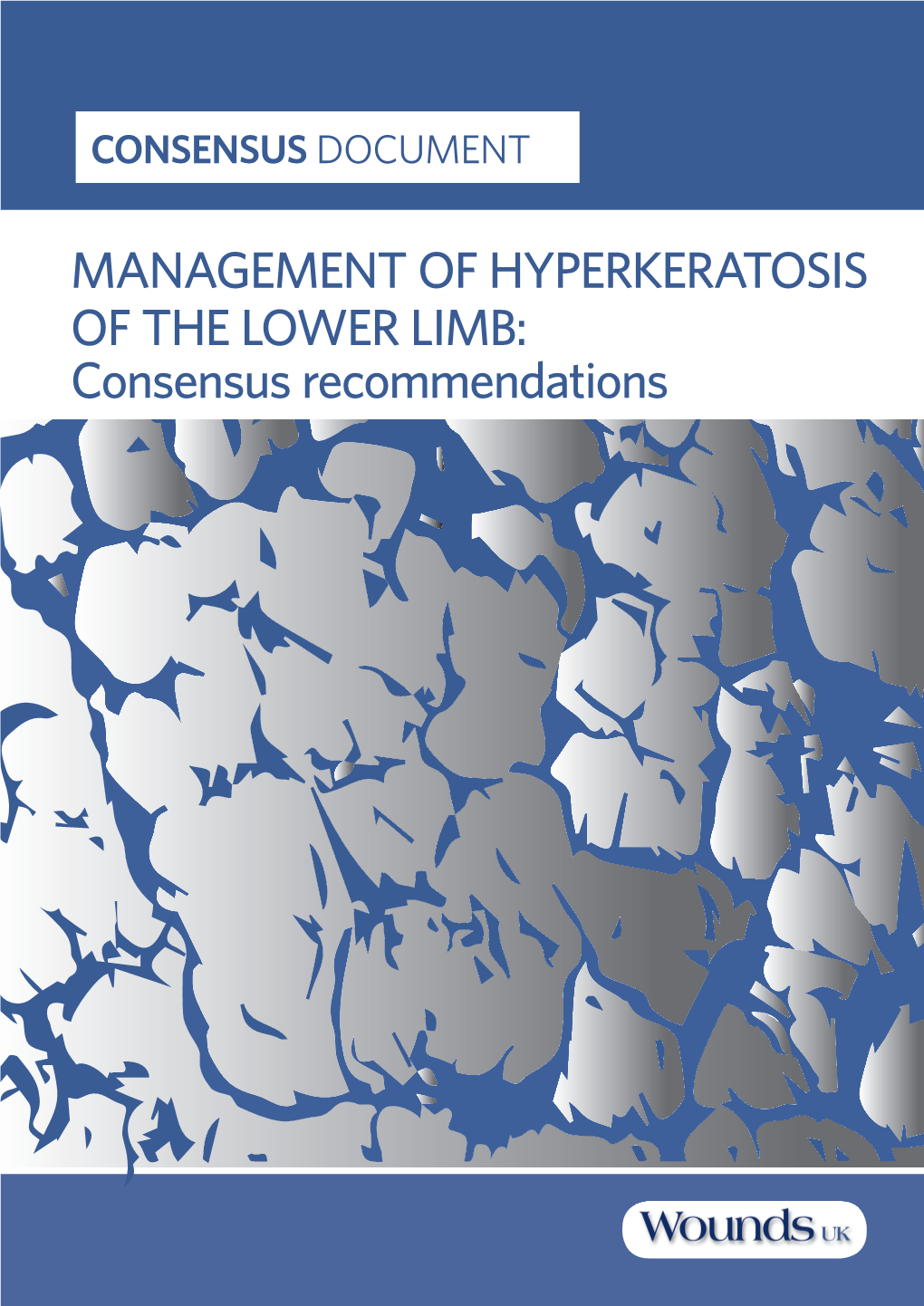 MANAGEMENT of HYPERKERATOSIS of the LOWER LIMB: Consensus Recommendations