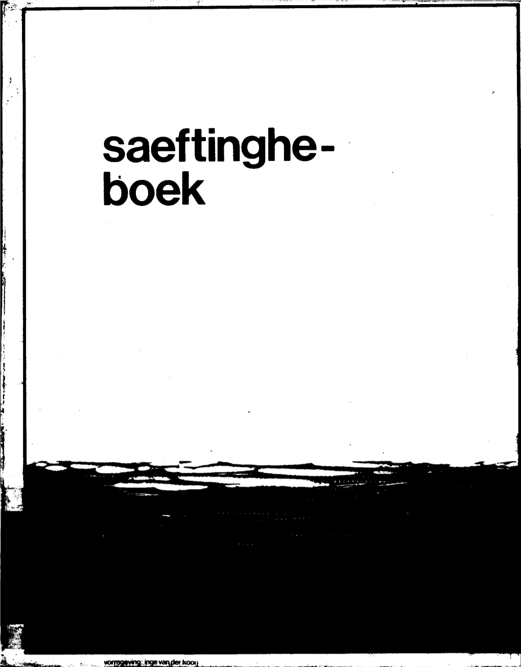 Saeftinghe Boek