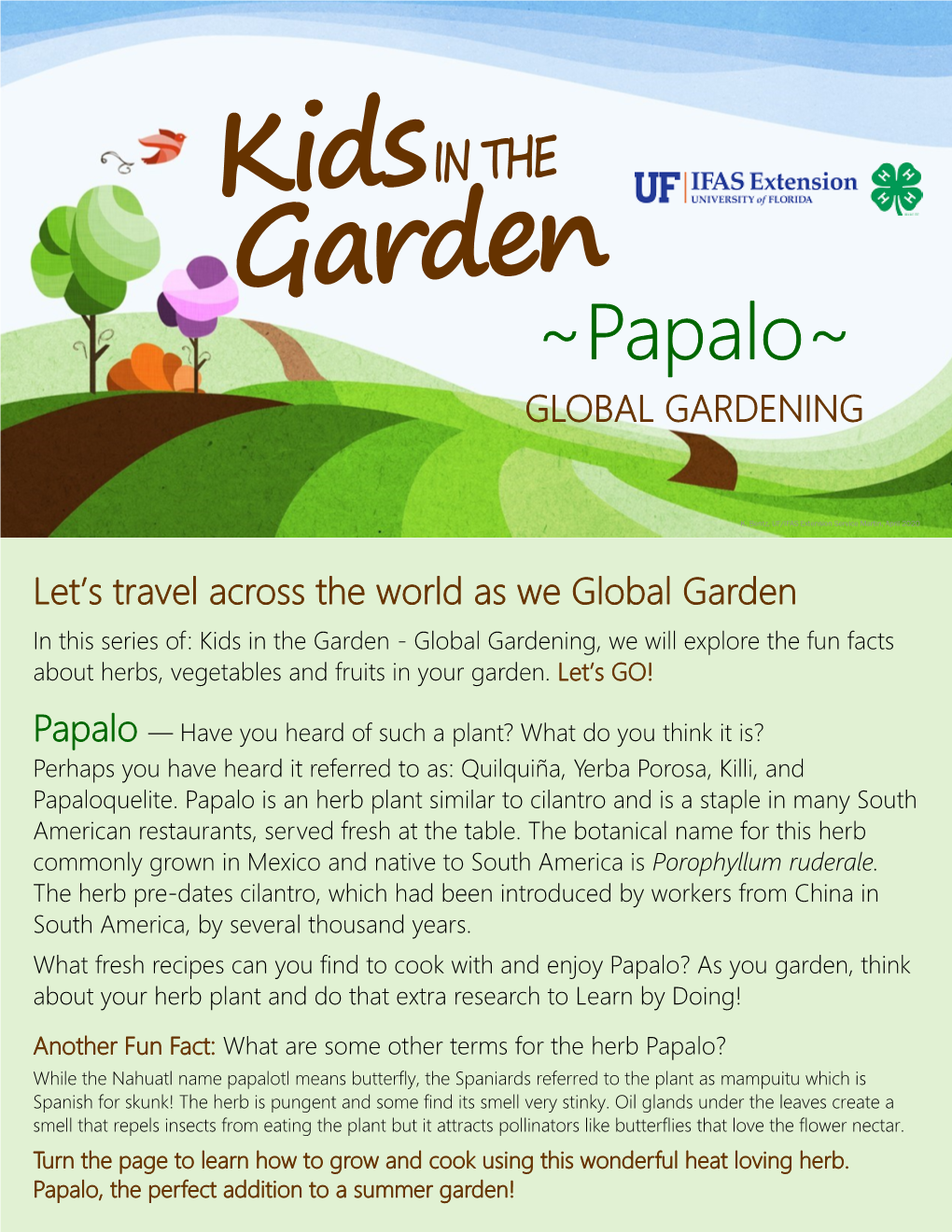 Papalo~ GLOBAL GARDENING