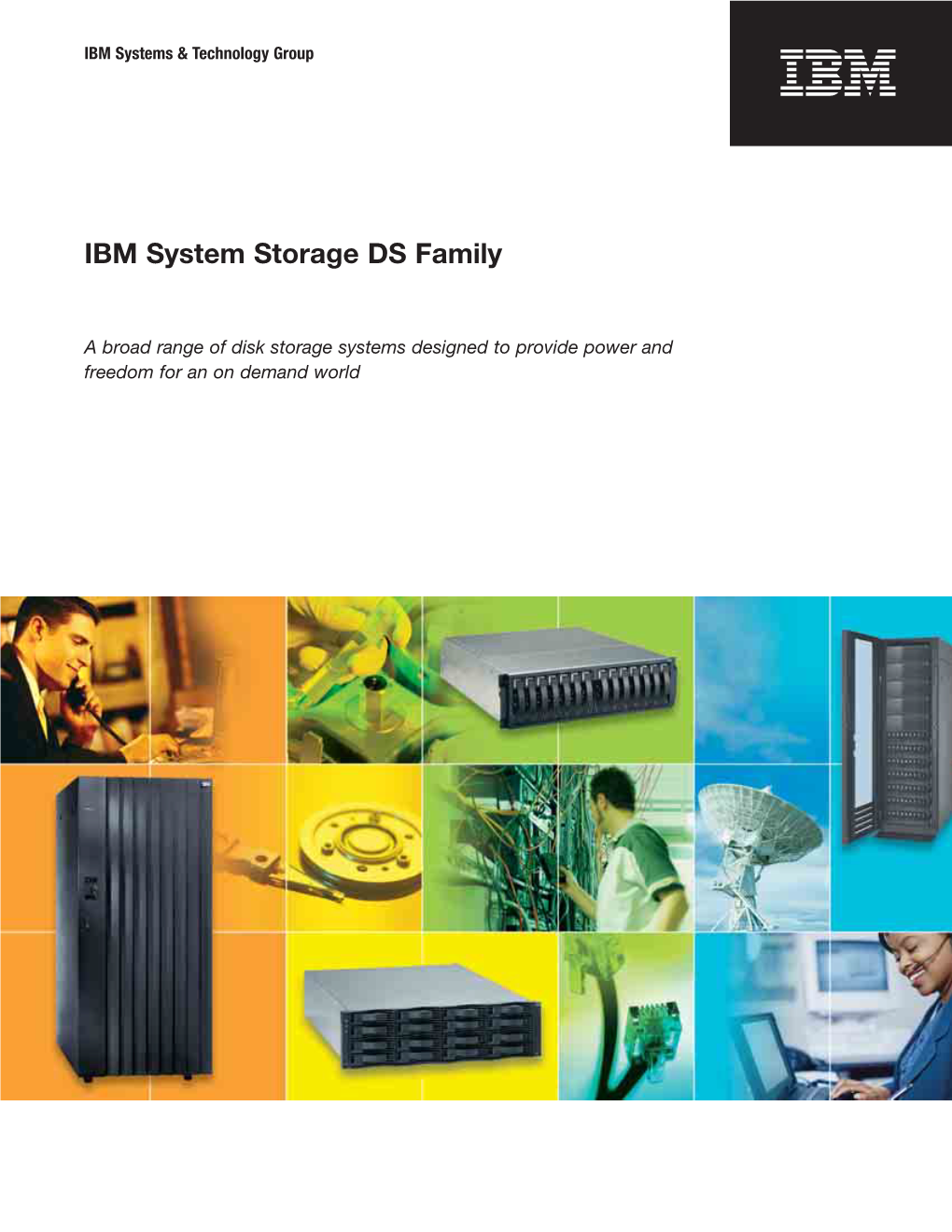 IBM System Storage DS Family
