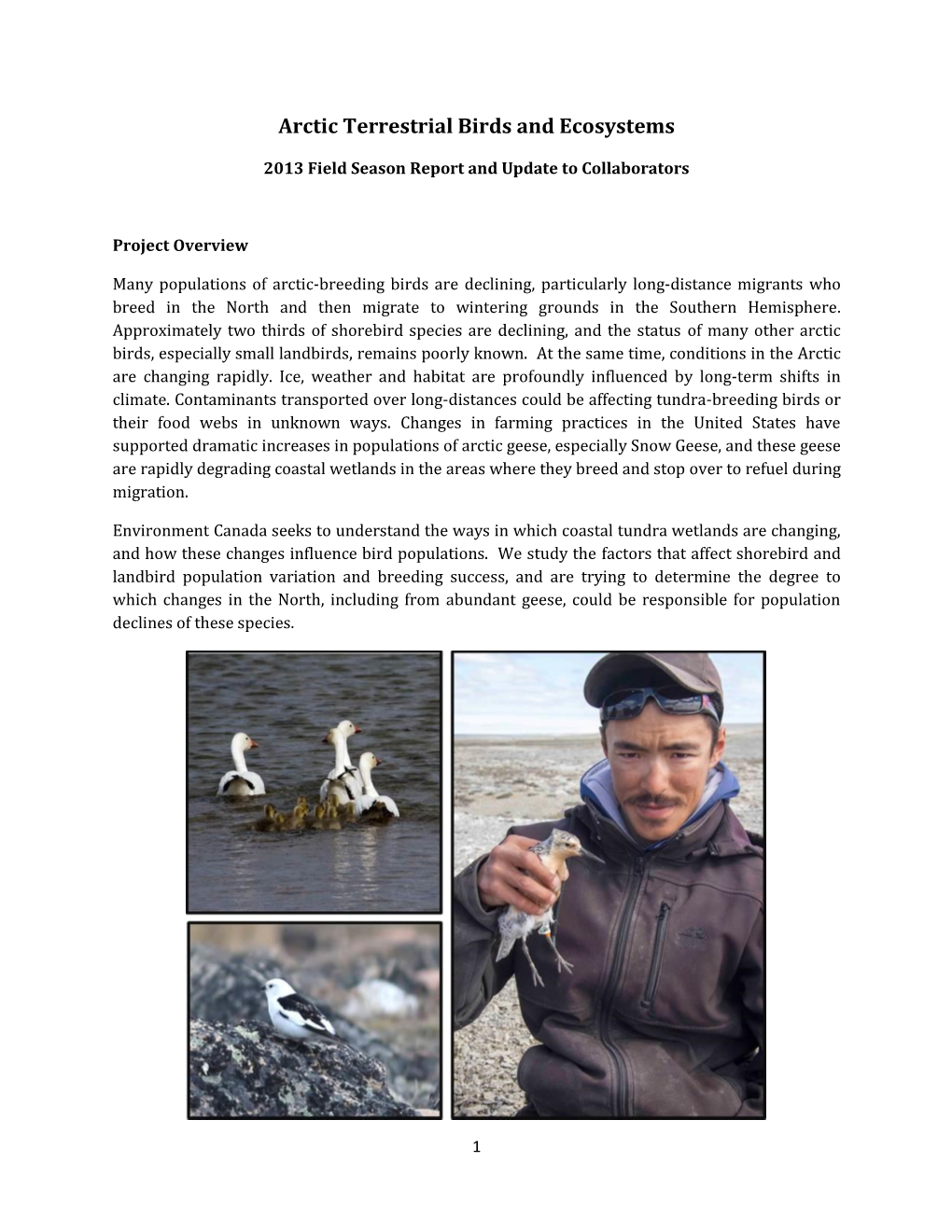 Arctic Terrestrial Birds and Ecosystems