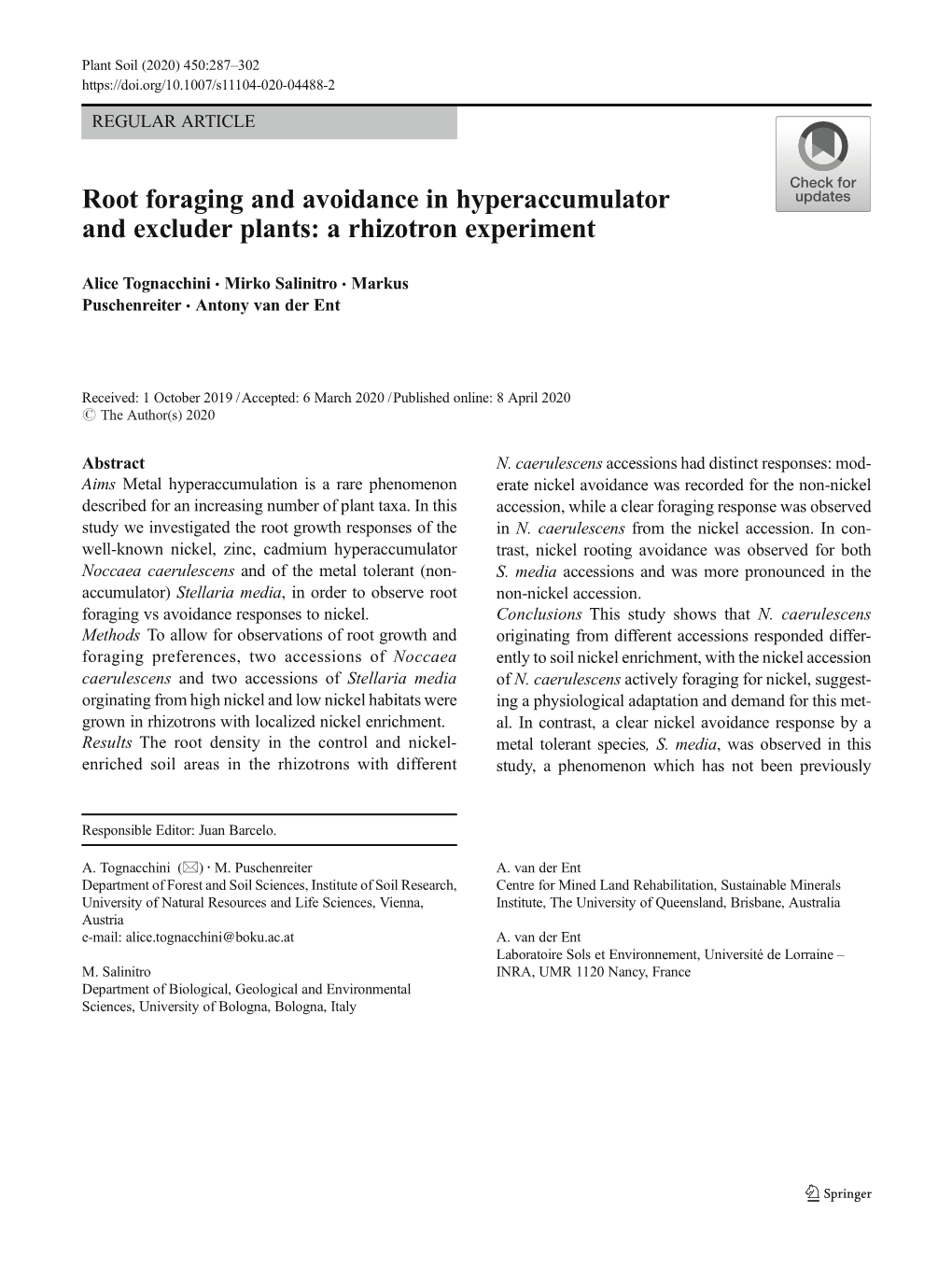 Root Foraging and Avoidance in Hyperaccumulator and Excluder Plants: a Rhizotron Experiment