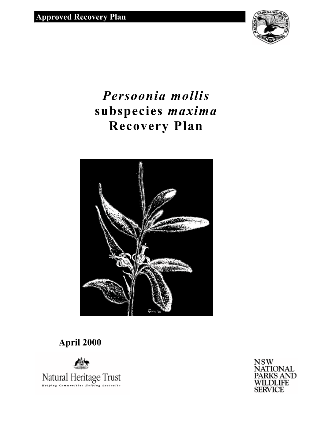 Persoonia Mollis Subspecies Maxima Recovery Plan (PDF