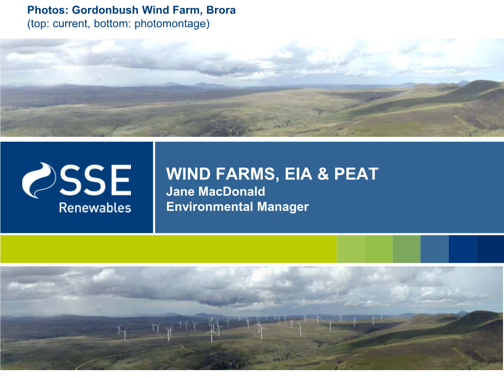 Wind Farms, Eia & Peat
