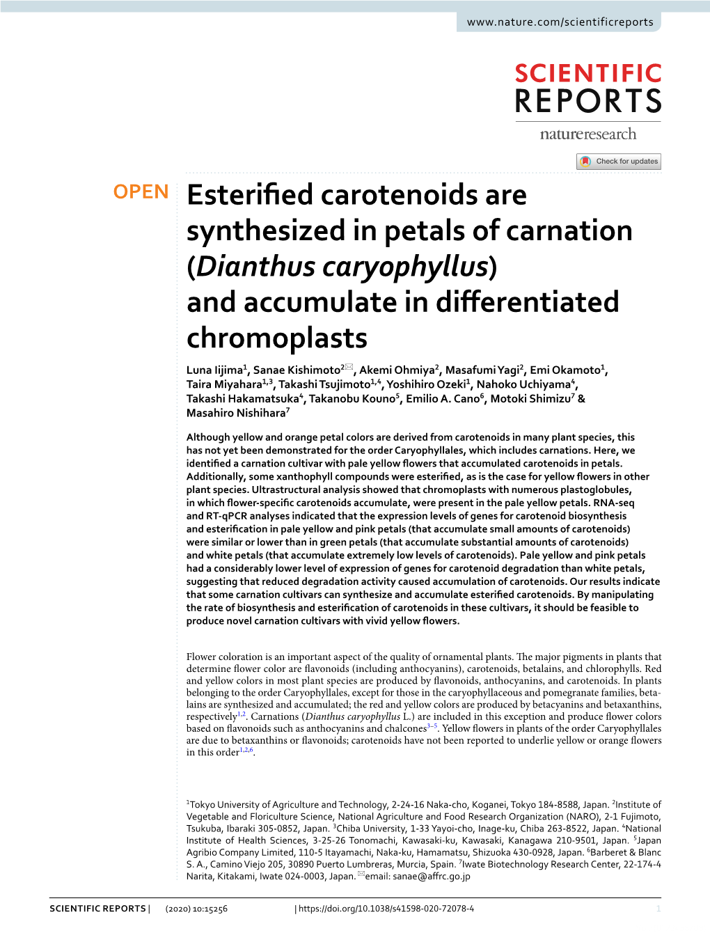 Esterified Carotenoids Are Synthesized in Petals of Carnation (Dianthus