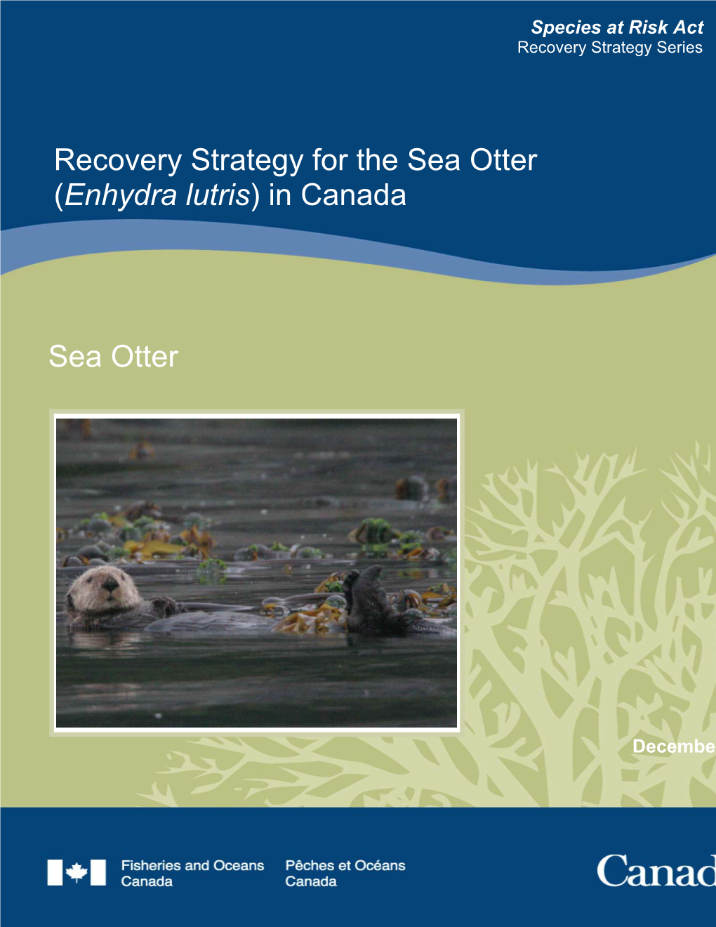 Recovery Strategy for the Sea Otter (Enhydra Lutris) in Canada